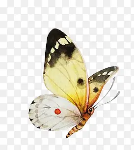 ����-������