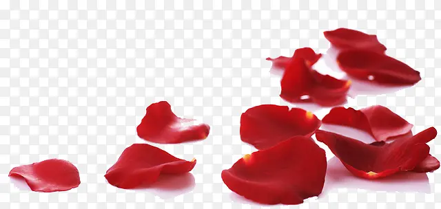 õ�廨��-������