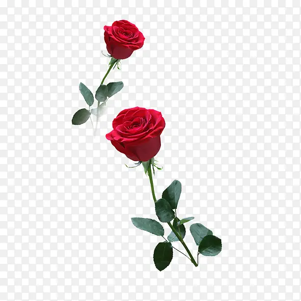 õ��õ��-������