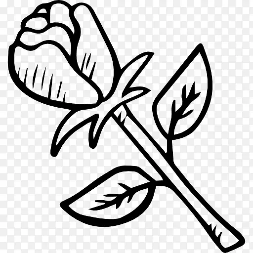 õ��ͼ��-������