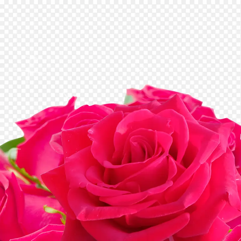 ���˽���Ϧ�����ɫõ��-������