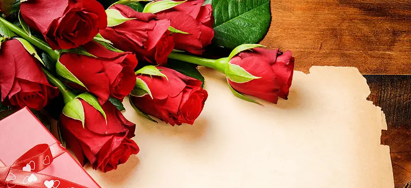 ���鱳��-������