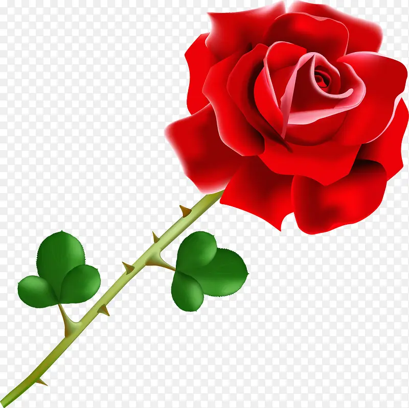 ��õ��-������