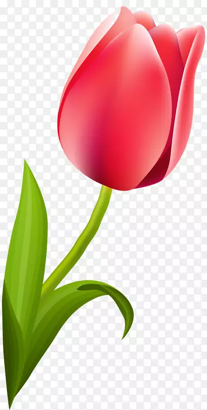 ����ֲ���������л��ٺϿ�������-������