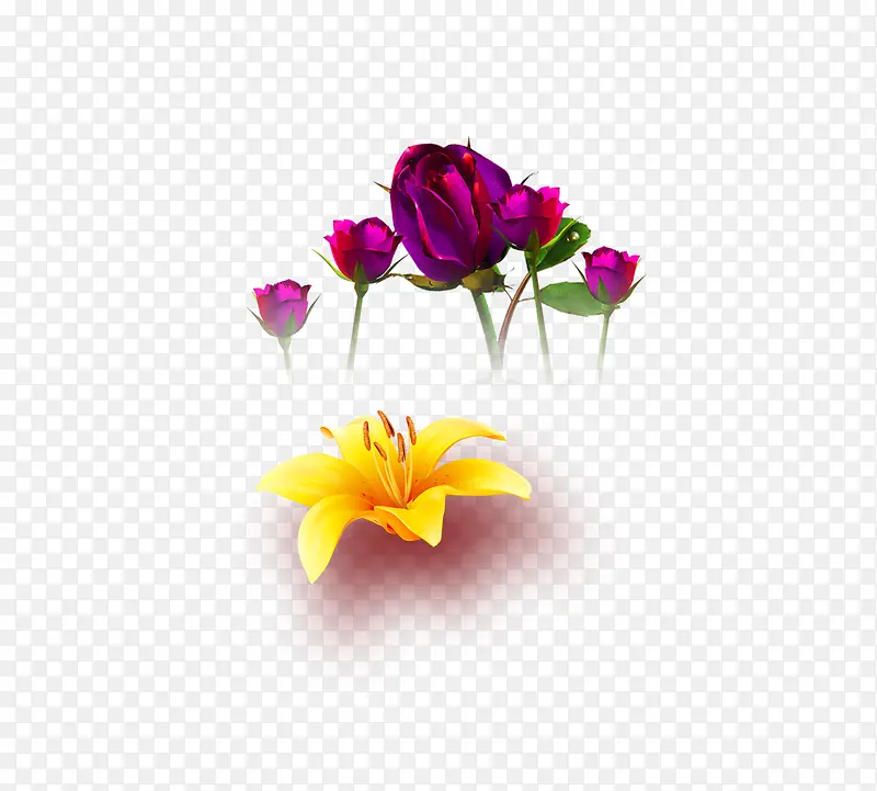 õ�� �ٺ�-������