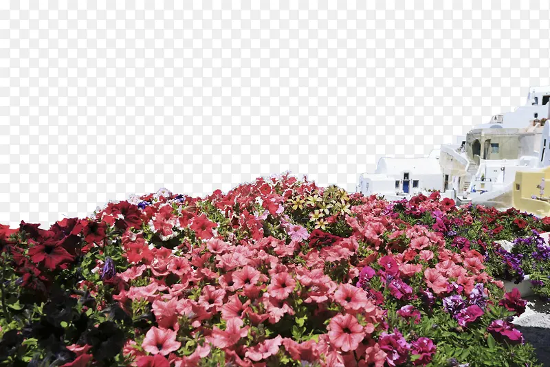 ���麣����-������