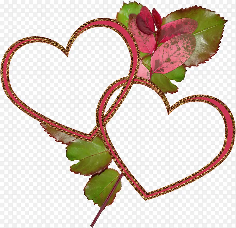 �����İ���-������