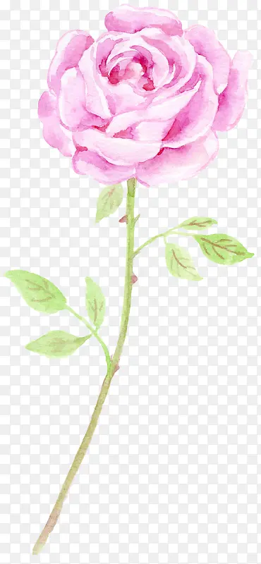 ����ĵ��ˮ�ʹ���-������