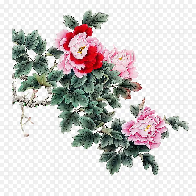 ˮ�ʹ���-������