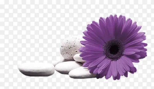 ʸ�������زĿ�ͨװ���ز�-������