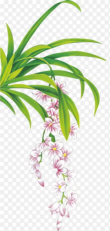 ����С��-������