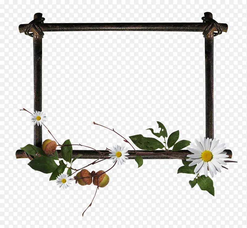 ���ܱ߿�ʸ��ͼ�ز�ֲ�ﻨ�ܱ߿�-������