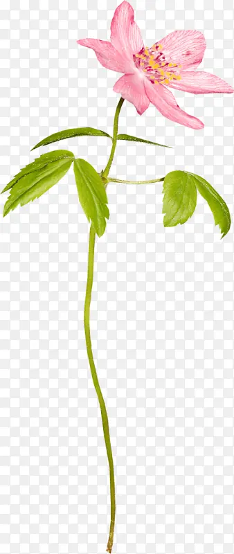 ���������زĻ���ͼ���ز�-������