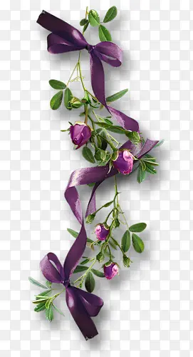 ֲ�ﻨ���زĻ���ͼ���ز�-������