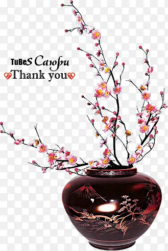 ����ͼ��װ��-������