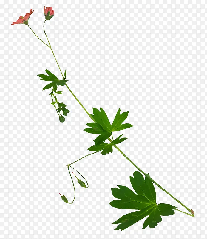 ����ͼ���زĻ���ps�ز�-������