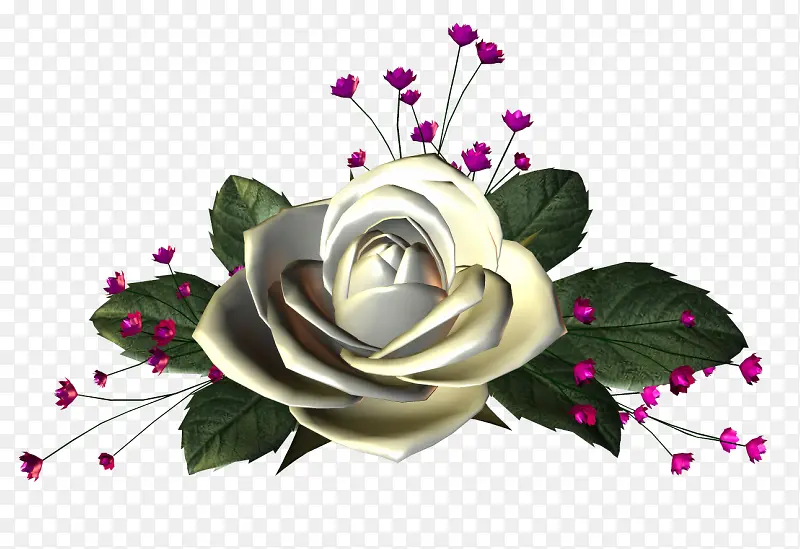 ���������ز���仨��-������