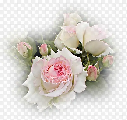 ����ͼ���زĻ���ͼ��-������