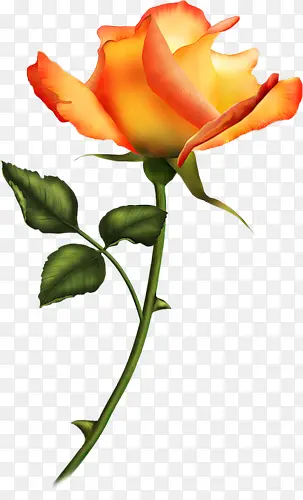 װ��ͼ������ps�ز�-������