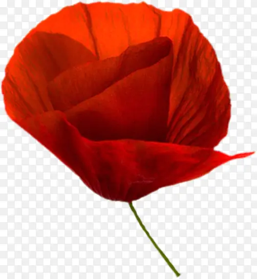 �ֻ�װ���زĻ���ps�ز�-������