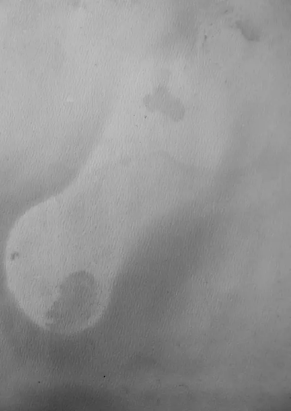 ��ɫ����-������