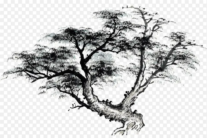 �ֻ����-������