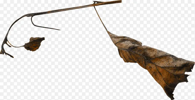 ��֦-������