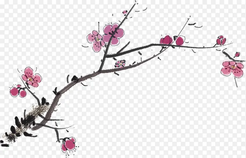 �ֻ��ɫ÷����֦����-������