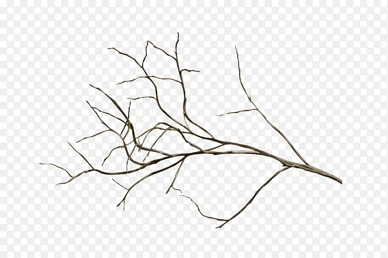 ��֦-������