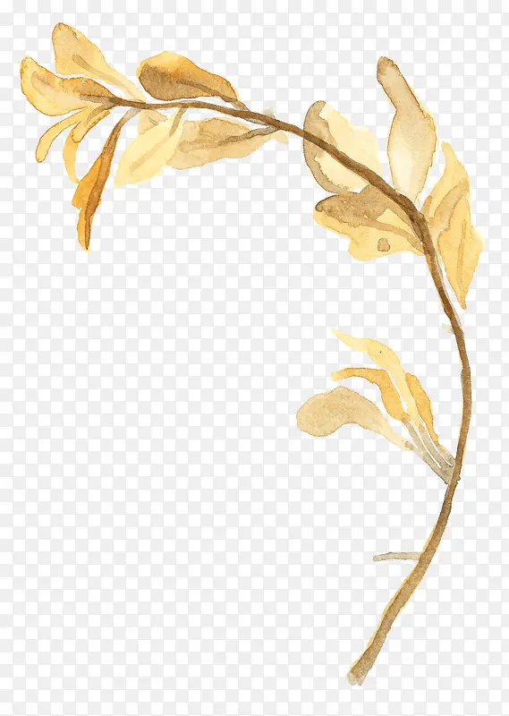 ��֦-������