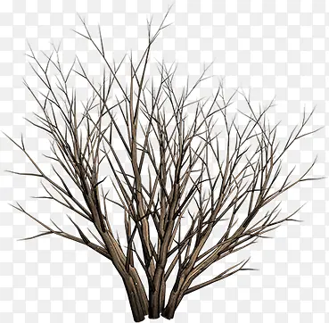 ��֦-������