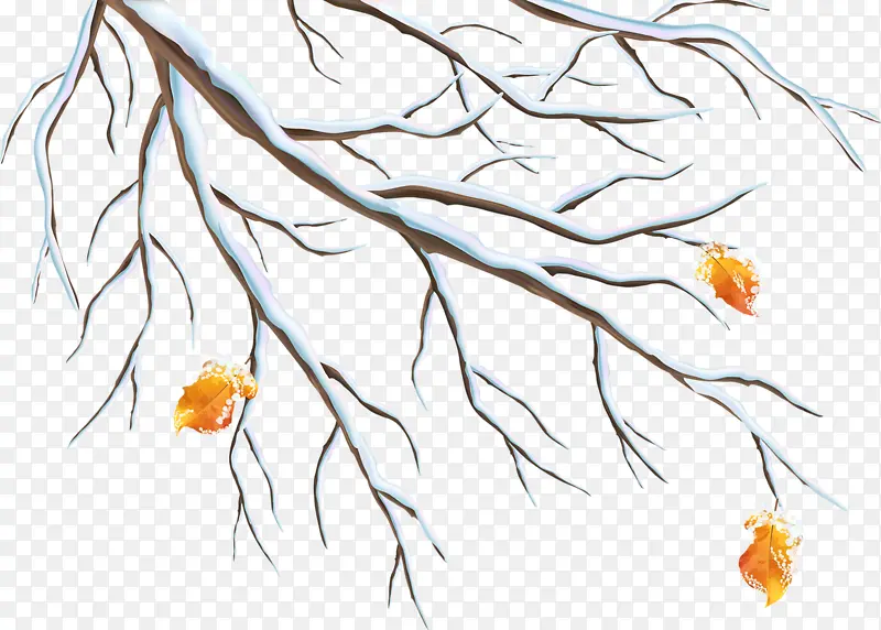 ������֦-������