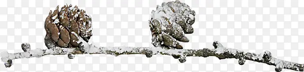 ��֦-������