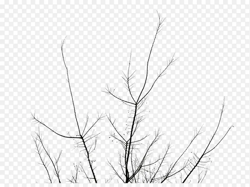 ��֦��֦֦��-������