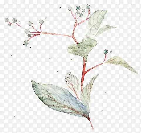 �ŷ������֦-������