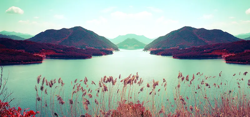 ��Ӱ����-������