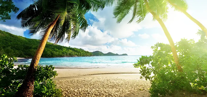 ��Ӱ����-������