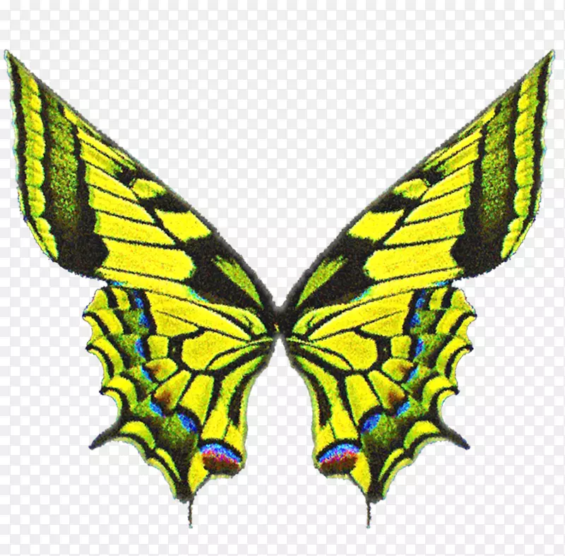 ��������Ӱ-��ޱ��-������