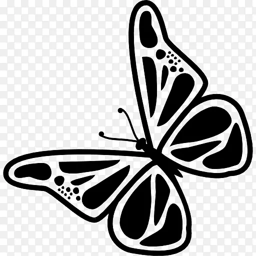 ������תͼ��-������