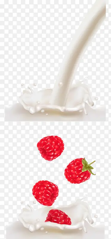 ʳ��-������