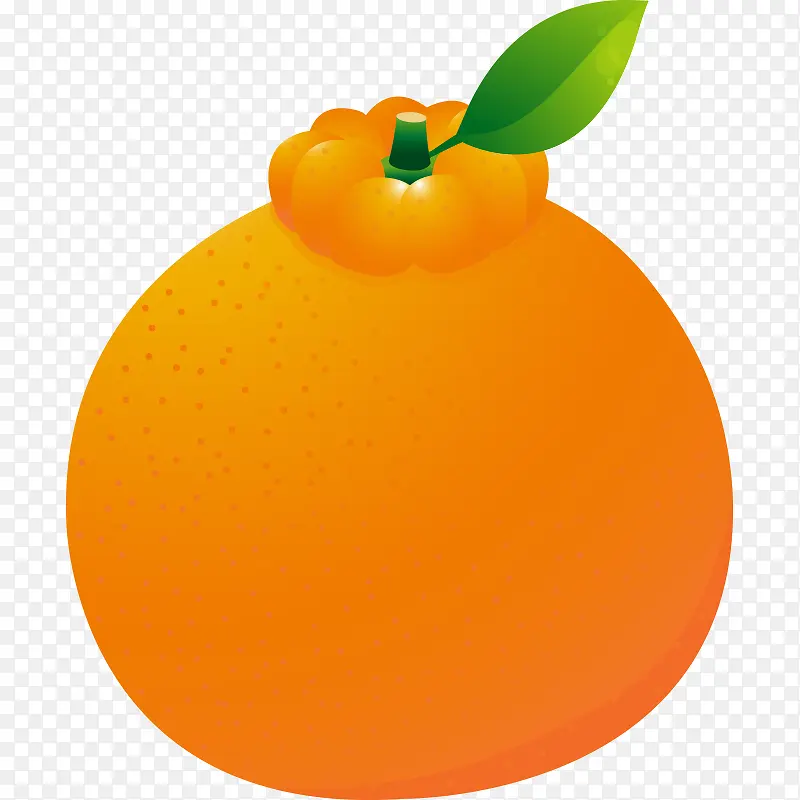 ʳ�� ˮ�� �߲� ���߹� ��ζ-������