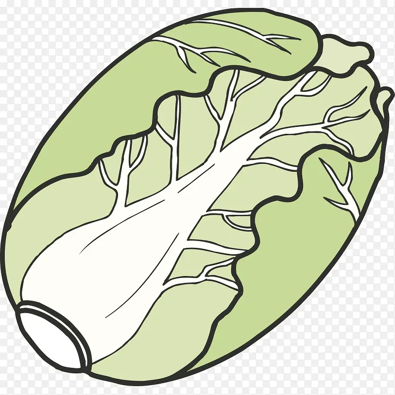 �߲� ���� ��ɫʳƷ ��ʵ ���-������