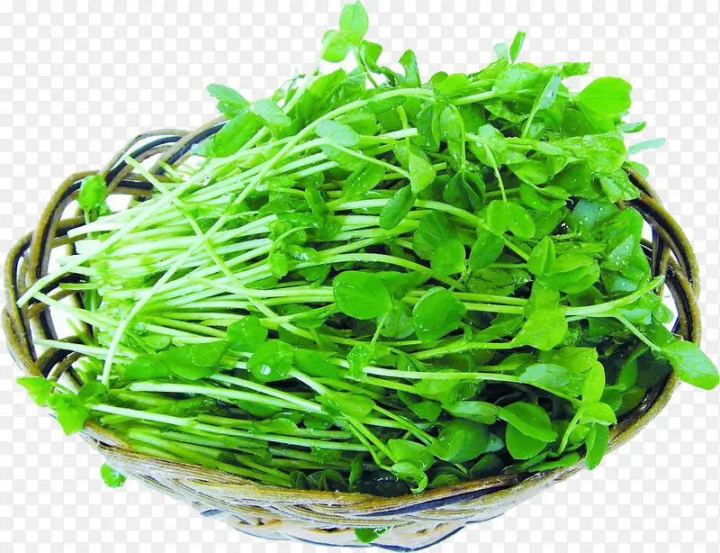 ��ͷѿ�߲�-������