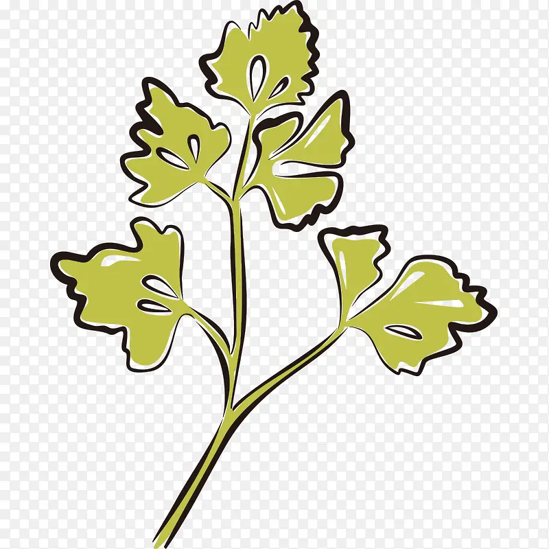 �߲� ���� ��ɫʳƷ ��ʵ ���-������