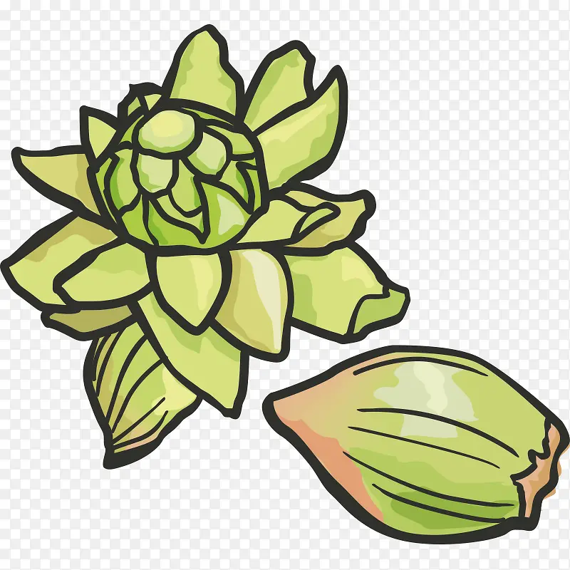 �߲� ���� ��ɫʳƷ ��ʵ ���-������