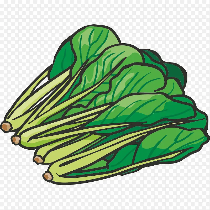 �߲� ���� ��ɫʳƷ ��ʵ ���-������