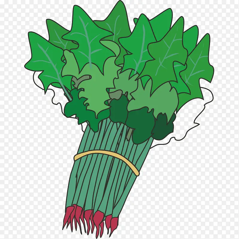 �߲� ���� ��ɫʳƷ ��ʵ ���-������