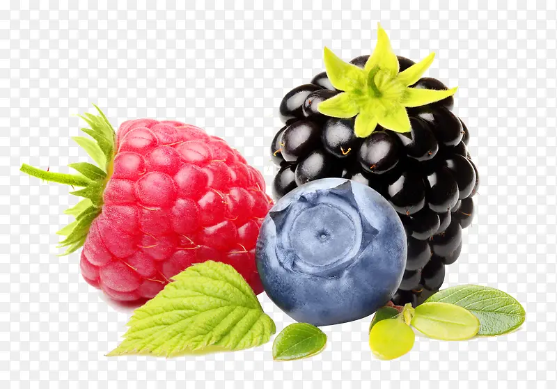 ˮ��ʳ��-������