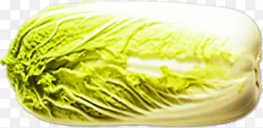 �����߲�-������