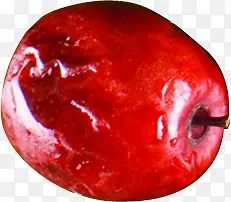 ��������ʳ������-������